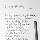 소나무에 대한 예배 이미지