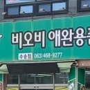 군산애완용품아울렛
