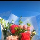 가비맨션 이미지