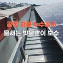 성신양회(주)단양공장 | 당진 공장 지붕 누수공사 물새는 빗물받이 판넬 덧댐으로 보수 사례