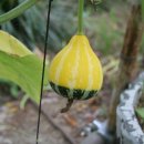 가득농장 이미지