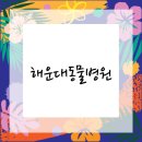 큰사랑동물병원 - 경산시 백자로20길 9 | 큰사랑동물병원