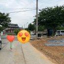 대천 1박 2일 아이랑 충청도 여행 :: 맛집, 국군콘도, 해수욕장