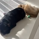 선학골프랜드 이미지