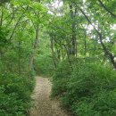 법화산 일요산행 공지(7/5,일) - 레포 이미지
