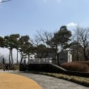 이천경로당 | [260312 키움vs두산 시범경기] 이천두산베어스파크 | 이천두 후기! +1블럭 시야