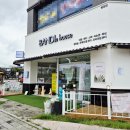 선물같은네일 | 병점네일 반디인하우스 큐릭스 병점점 카페 같은 감성 네일샵 방문후기!