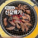 신갈매기 이미지