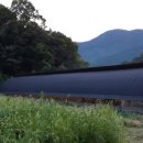 가은농장 이미지