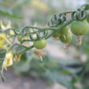 경욱농장 이미지