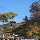 마곡사관광지 | 공주 당일치기 대전 근교 드라이브 공산성 마곡사 단풍