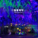 광명동굴 이미지