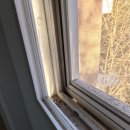 부영사랑으로5 | 양산 물금 청소업체 증산 부영사랑으로 아파트 입주청소 작업후기!