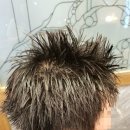배기연미용기능장의집