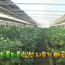 용인농장 이미지