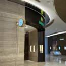 유동 106-1 | 롤렉스 시계 데이저스트 성골 도전 구매 성공 후기