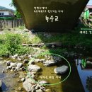 임초천 이미지