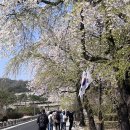 (주)미스터케어 | [공지] 봄이 왔어요! 4월 한마음 건강모임을 다녀왔습니다.