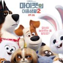 마이펫 이미지