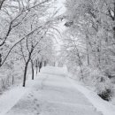 포레스트밸리 이미지