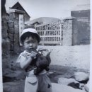 하얀성여관 이미지