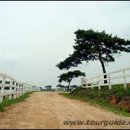 경기목장 이미지