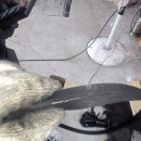 주식회사 샤일 이미지