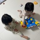 세돌 장난감 추천 ㅣ 로보카폴리 출동 구조본부 장난감 솔직 후기