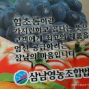 농수산물마트 이미지