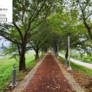 생극우체국 이미지