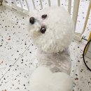 반자주 진해점 이미지