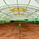 워라밸돔경기장 이미지