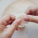 별꽃시루 이미지