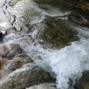 달빛관광농원펜션 이미지