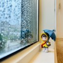 엘제이비 이미지