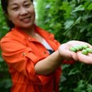 엄지민박 이미지