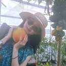 이영애농장 이미지