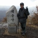 초록햇살 이미지