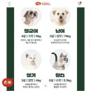 스타필드 수원 화서점 웰니스 동물병원 | 스타필드 수원 화서역 [몰리스펫샵] 강아지간식 애견용품 라운지 이용 반려견 입양홍보