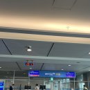 [첫 혼자 해외 여행 ]도쿄편;항공권부터 숙소, 유심 교통 등, 생초보 여행자의 반성과 기록 첫번째