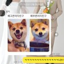 그린식육식당 이미지