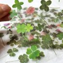 크로버유통 이미지