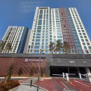 금강금속 | 동탄방충망 금강펜테리움6차 아파트 미세촘촘망 시공사례