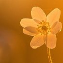 260410. 묵상글 ( 부활 팔일 축제 금요일. - 사두가이가 아니라 베드로여야 하는 우리. 등 ) 이미지