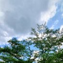 신일충전소 이미지