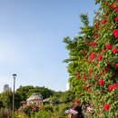 먹골역7번출구 이미지