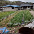 합천군삼가면동리보건진료소 | {경남합천군토지(대지)경매} 합천군 삼가면 동리 # 2018타경10393 #