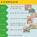 신일종합식품