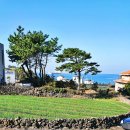 달빛명월 이미지