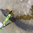 모차호텔 이미지